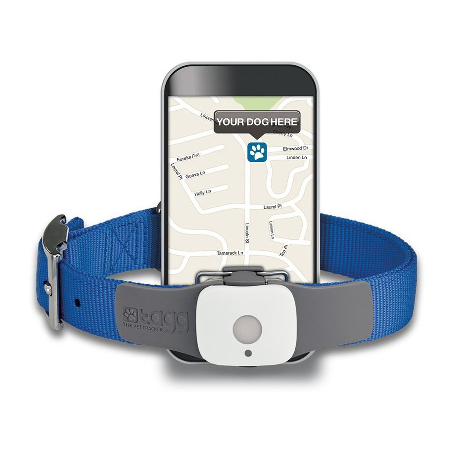 best gps pet tracker 2018
