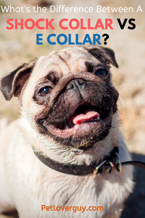 What Does The Saying Shock Collar Mean