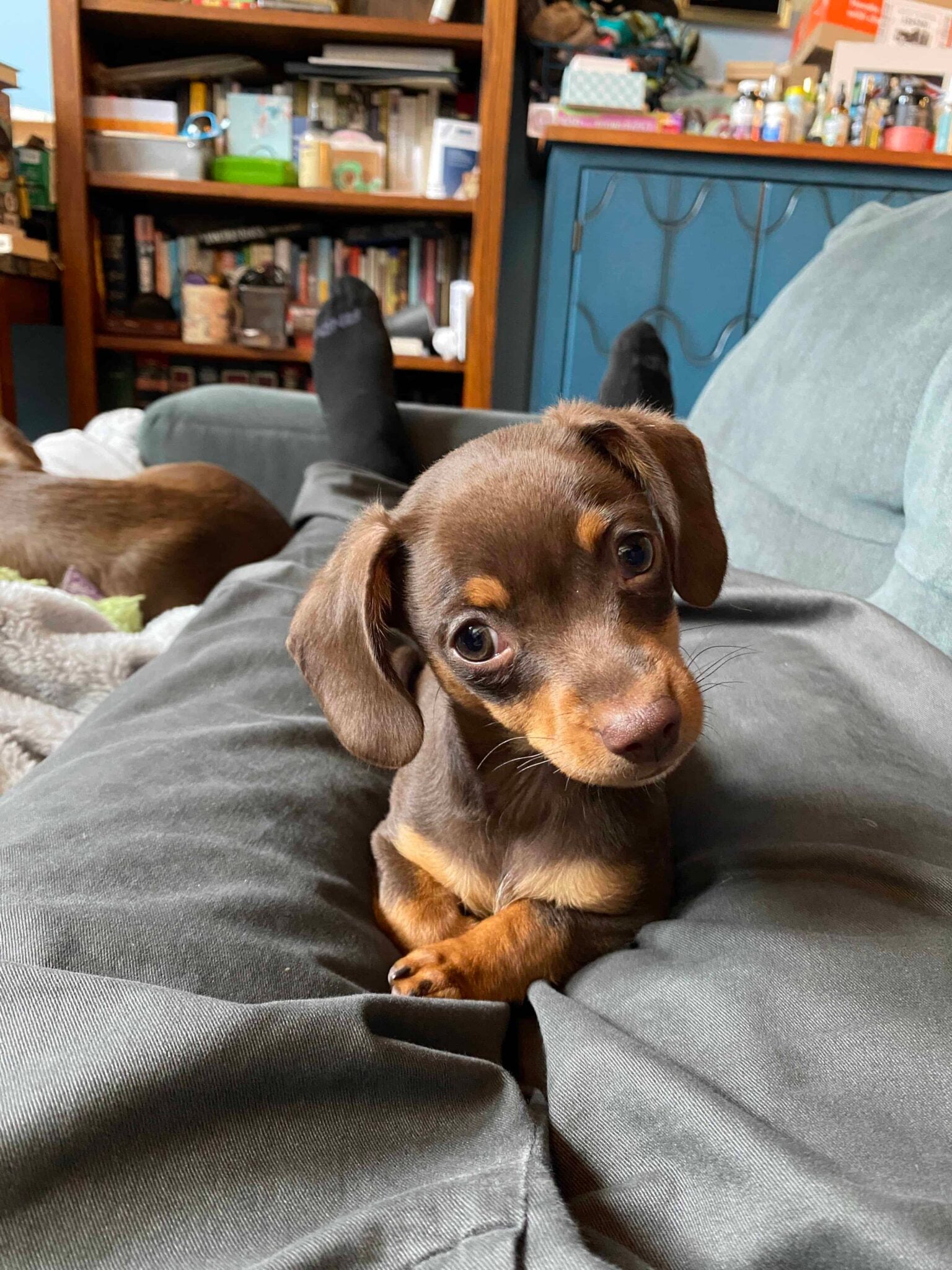 The Hottest Latina: Unveiling the Traits and Qualities That Make Them Irresistible